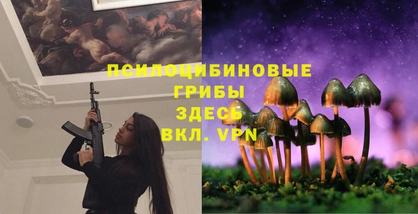 стафф Верея