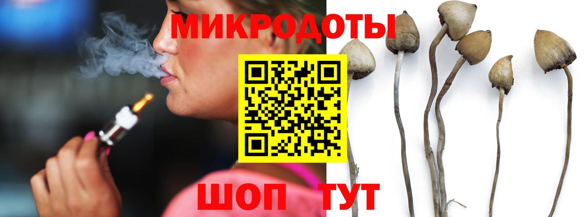 Псилоцибиновые грибы Psilocybe  Вход с VPN  наркошоп  Псилоцибиновые грибы ЛСД  Мончегорск 